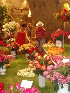 Annual Rose Festival at Doue la Fontaine