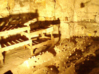 picture of wine cellar